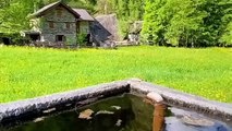 new video Switzerland beautiful Places  WORLD MOST BEAUTIFUL PLACES by world&travel
