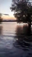 వైరల్‌ వీడియో: తృటిలో ప్రాణాపాయం నుంచి త‌ప్పించుకున్న‌ యువ‌కులు