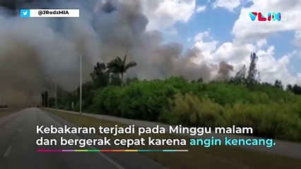 200 Hektar Semak di Miami Terbakar