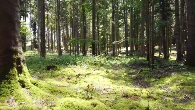 (Relaxation music.) Techniques for your stress Relief - 2021 you find benefits of your body and mind