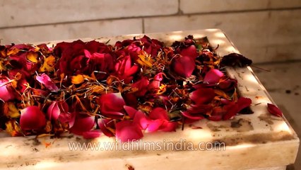 Mirza Ghalib's Tomb at Nizamuddin, Delhi