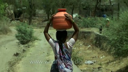 Women balancing pots of water from a well in Manegaon village