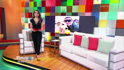 Muere por Covid Ferchy Kushner, el hombre de negocios que cambió su vida para alimentar perros de la calle