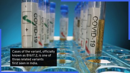 Everything you need to now about the Delta Covid variant