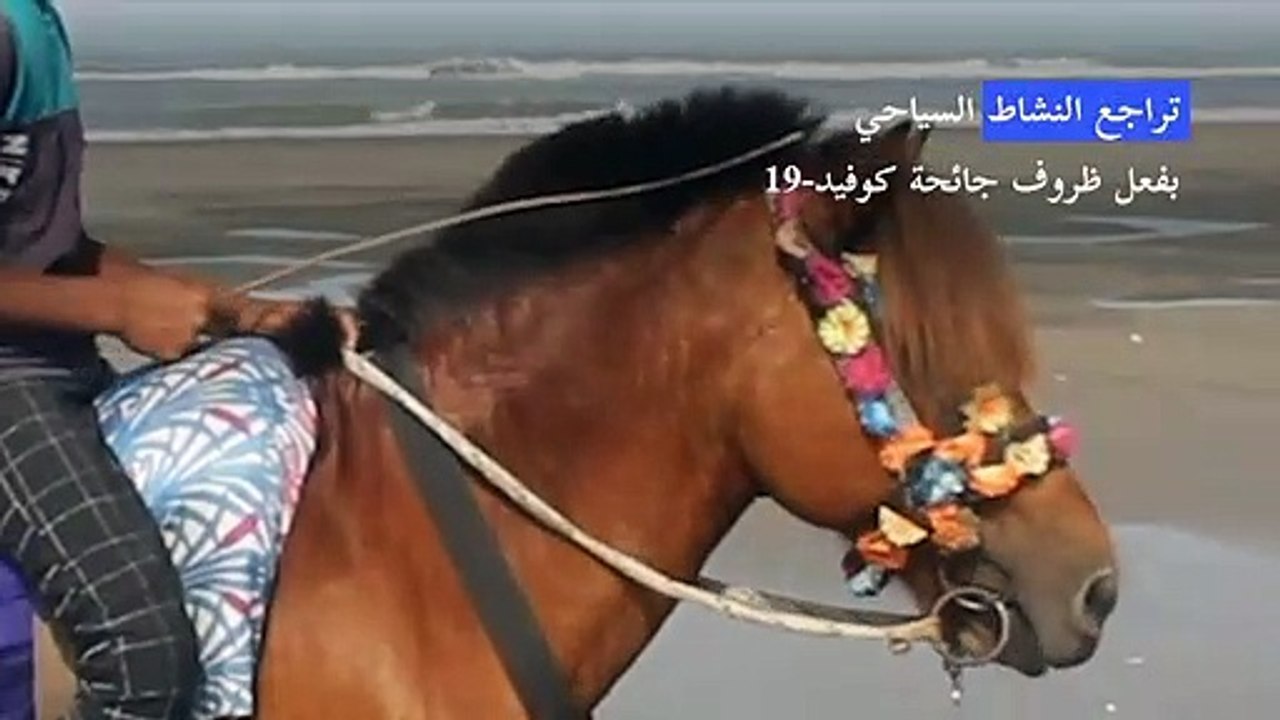 الخيل