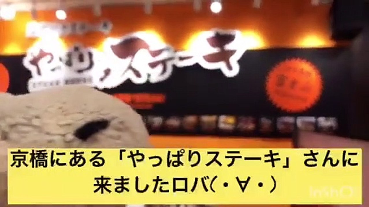 【京橋・やっぱりステーキ】迫りくる肉塊との戦いだぜロバ(・∀・)　#肉テロ