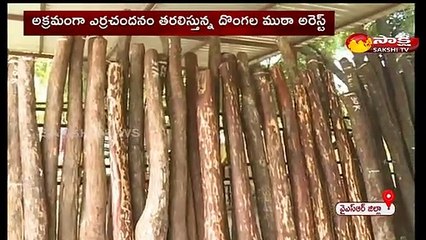 అక్రమంగా ఎర్రచందనం   తరలిస్తున్న దొంగల ముఠా అరెస్ట్