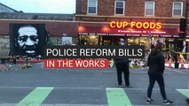 Police Reform Bills In The Works