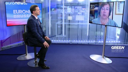 Grüne Woche Brief from Brussels: Postkarte aus Tarent