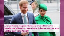 Prince Harry : une pétition lancée pour que ses titres royaux lui soient retirés