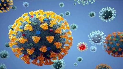 Corona: Is China hiding something from world?