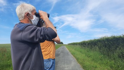 Dans la vallée de la Gartempe, les défenseurs de la biodiversité face à la disparition progressive des haies