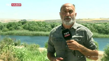 PKK/YPG Suriye'nin kuzeyinde gençleri silah zoruyla kampa götürüyor