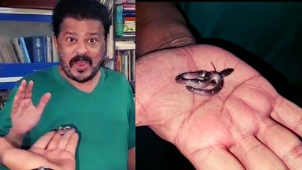 ಮೊದಲು ಭಯಪಟ್ಟು ನಂತರ ಹಾವನ್ನು ಅಂಗಯ್ಯಲ್ಲಿ ಹಿಡಿದ Mandya Ramesh | Filmibeat Kannada