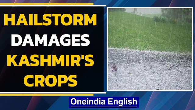 Kashmir: Heavy hailstorm hit northern and central regions, causes damage to crops | Oneindia News