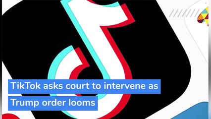TikTok asks court to intervene as Trump order looms, and other top stories in technology from November 13, 2020.