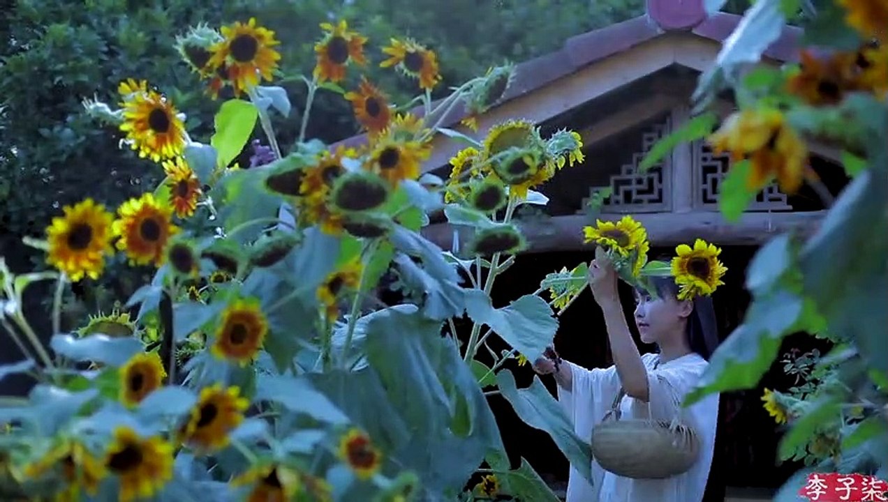 Comment faire un cornichon aux haricots aigre chinois?