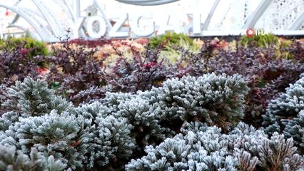 Hava sıcaklıkları düştü, Yozgat buz tuttu