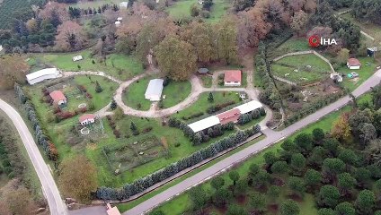 Böyle vahşet görülmedi...Avcıların vurduğu yaralı pelikan tedavi altına alındı