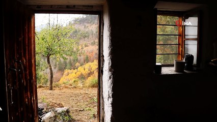 Bu ekmek 200 yıllık ekşi mayayla yapılıyor