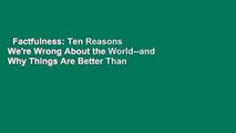 Factfulness: Ten Reasons We're Wrong About the World--and Why Things Are Better Than You Think