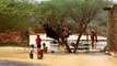 Sudan floods: A devastating aftermath | Talk to Al Jazeera: In the Field