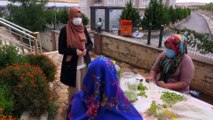 Üniversiteli genç kadın muhtarı mahalle sakinlerinin sorunlarına çözüm arıyor - GAZİANTEP