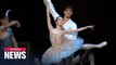 Korean National Ballet's show 'Le Corsaire' opens; runs until Nov. 8