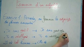 Français courant d'usage féminin d'un adjectif