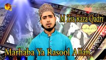 Marhaba Ya Rasool Allah | Naat | Prophet Mohammad PBH | M Zia Raza Qadri | HD