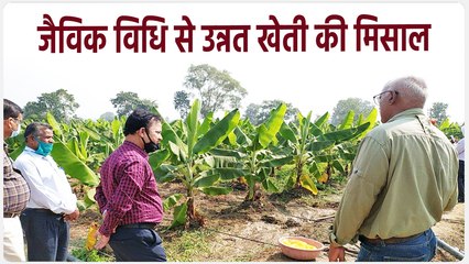 गजब खेती : बिना कटे खेत में ही बिक गई खड़ी फसल