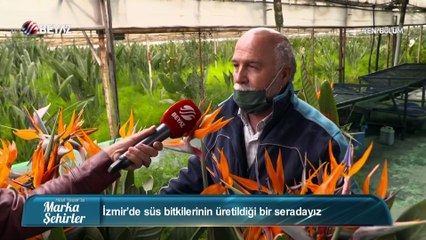 Marka Şehirler 7 Kasım 2020