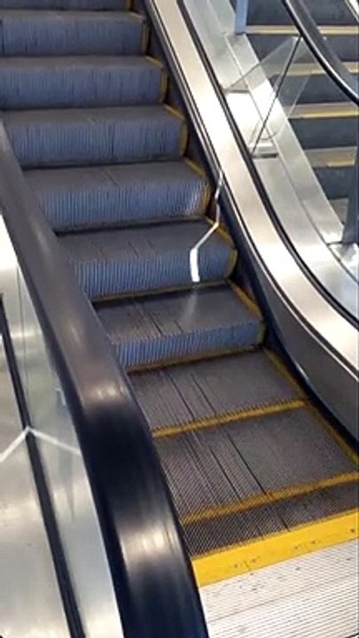 The Escalator with Snake & Ladder - Not Really - Watch What's is This?