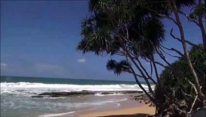 Kosgoda Sea Turtle Conservation Project  (video)