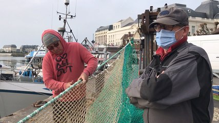Inquiétudes autour de la pêche à la coquille