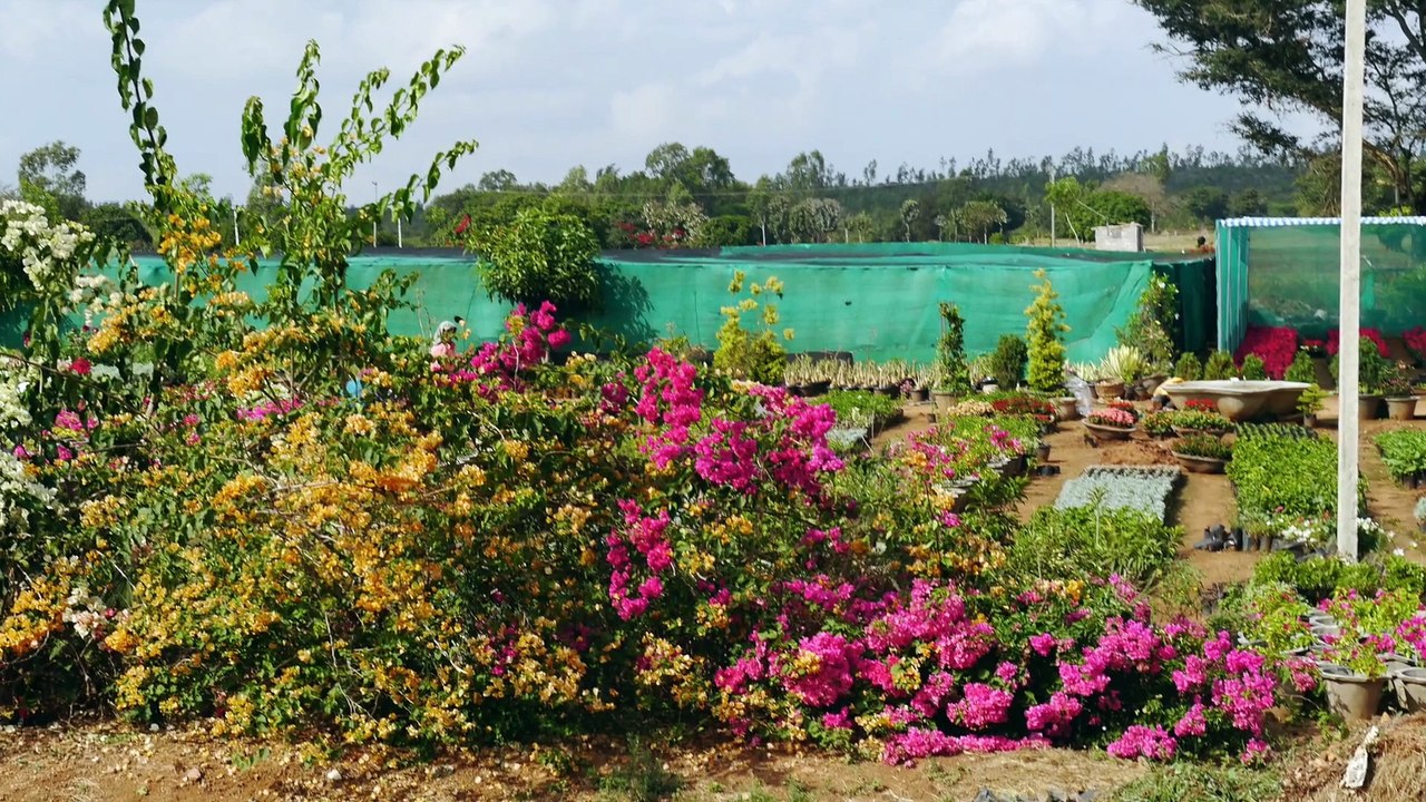 Süd Indien Tamil Nadu, wo die Götte wohnen und  im Mittelpunkt der Verehrung stehen.