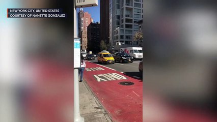 Cars honk in New York to celebrate Biden win