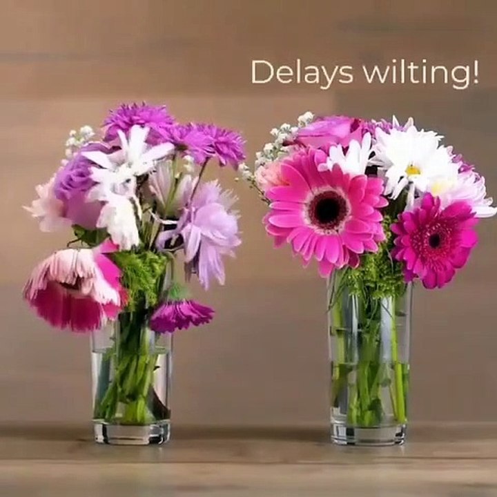 Do it YourSelf Videos 224