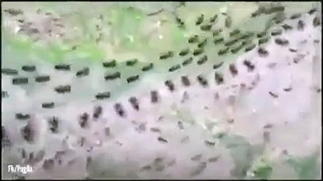 حالات واتس اب دينية -بصوت عبدالباسط عبدالصمد ❣حالات واتس اب قران مقاطع قران قصيرة _تلاوة خاشعة(360P)_1