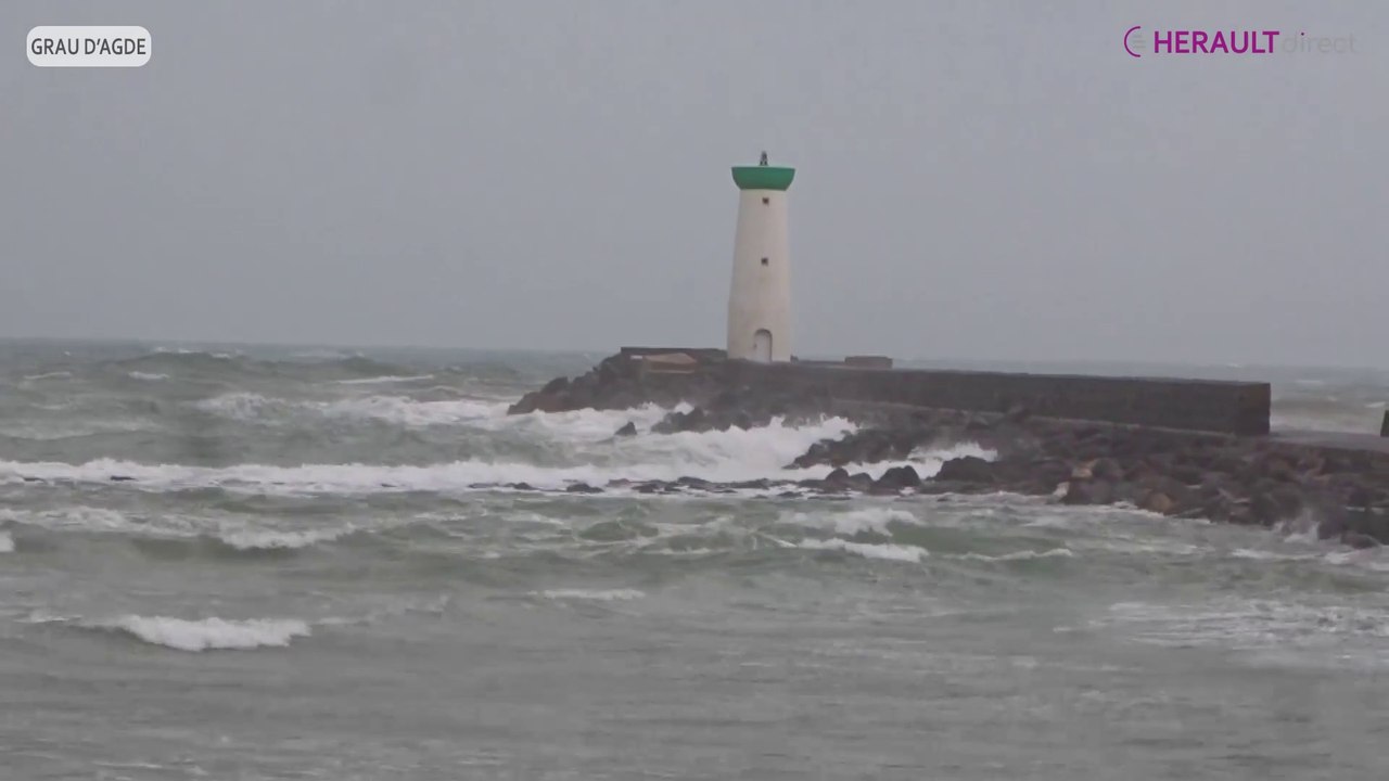 Images Brutes... Samedi 7 novembre 2020 à 16h au Grau d'Agde