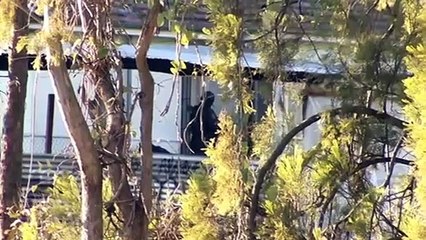 Man linked to Western Sydney gang shot several times