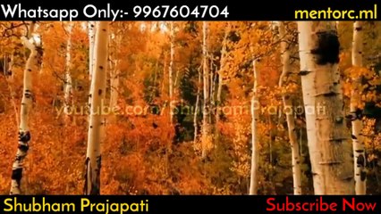 Find The Reason for your success | Shubham Prajapati | Dynamic Jindagi | Mentorc.ml