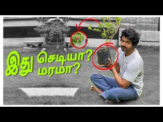 Vijay ஏன் யாரையும் Challenge பண்ணல? | Green Challenge Mahesh Babu