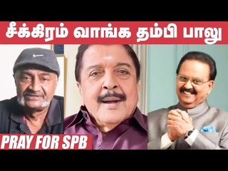 SPB Update: பாலு உச்சி வகுந்தெடுத்து பாட்டை மறக்க முடியுமா - Sivakumar | Ms Bhaskar |