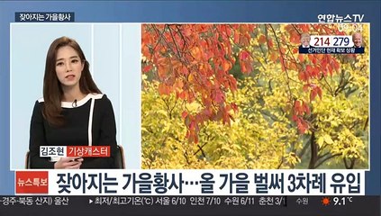 [일요와이드] 휴일 찬바람 불며 먼지 해소…낮에도 '쌀쌀'