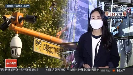 지능형 CCTV 도입 확대…형사범 검거율 증가