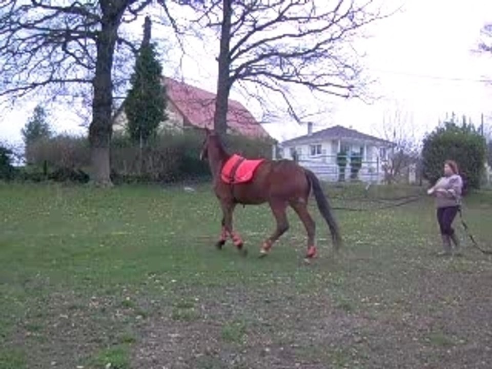 Fev 08 080