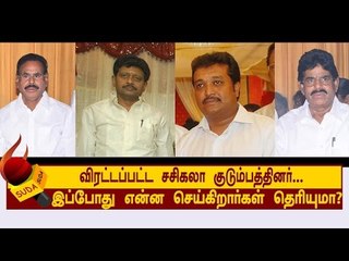 விரட்டப்பட்ட சசிகலா குடும்பத்தினர்..  என்ன செய்கிறார்கள் தெரியுமா?