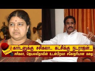 கார்டனுக்கு சசிகலா... கட்சிக்கு நடராஜன்...| அத்தியாயம் 6
