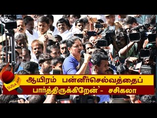 ஆயிரம் ஓ.பி.எஸ்சை பார்த்திருக்கிறேன்'- சசிகலா